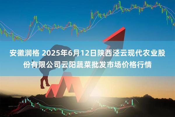 安徽润格 2025年6月12日陕西泾云现代农业股份有限公司云阳蔬菜批发市场价格行情