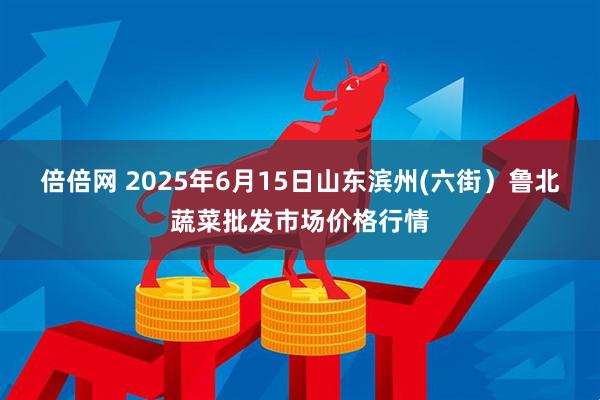 倍倍网 2025年6月15日山东滨州(六街）鲁北蔬菜批发市场价格行情