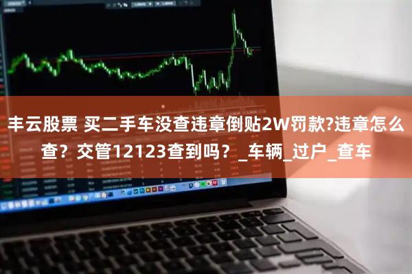 丰云股票 买二手车没查违章倒贴2W罚款?违章怎么查？交管12123查到吗？_车辆_过户_查车