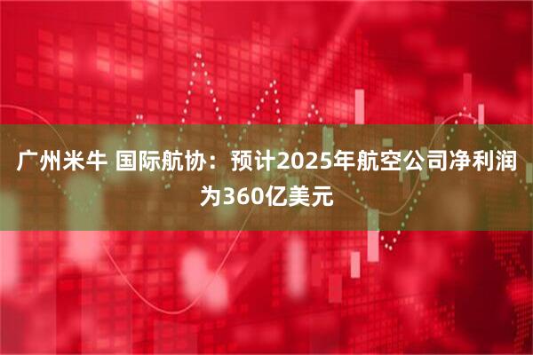 广州米牛 国际航协：预计2025年航空公司净利润为360亿美元